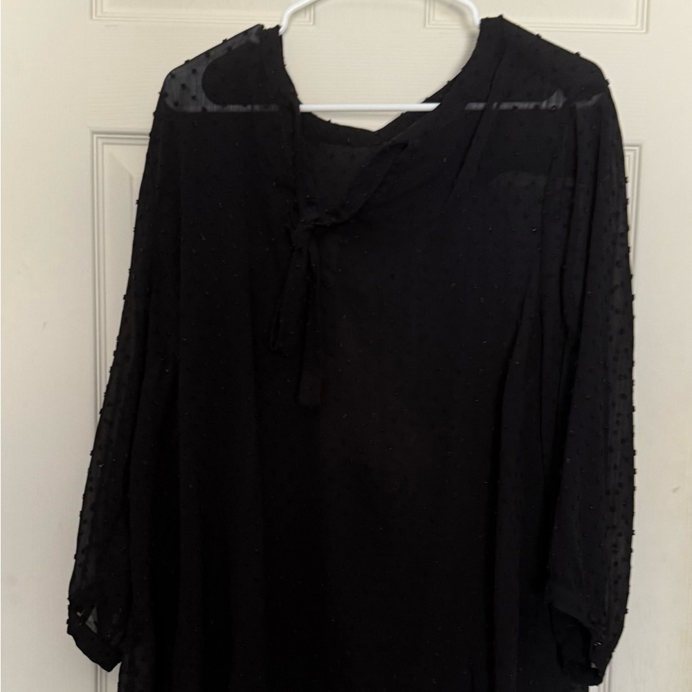 Torrid Black Sheer Blouse